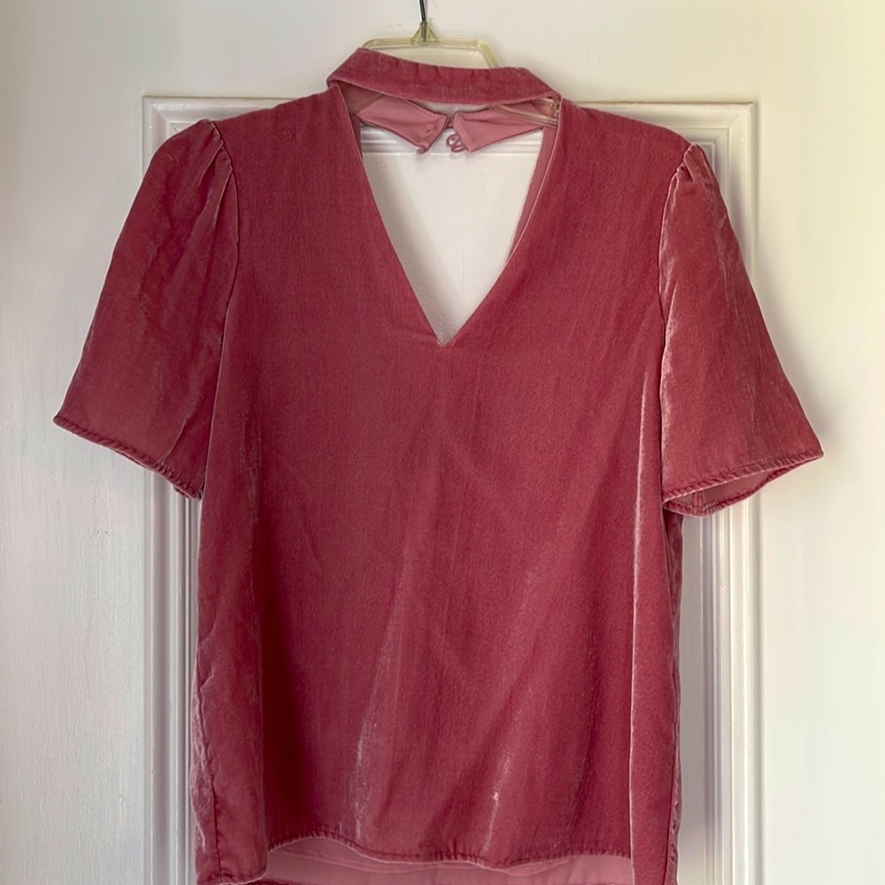 Pretty in Pink Short sleeved Velvet Top
